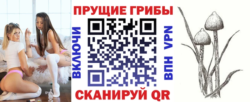 Галлюциногенные грибы ЛСД  Купить закладки  Новотроицк 